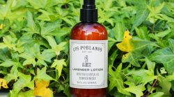 【Los Poblanos】Lavender Lotion