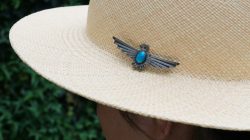 Thunderbird Pin