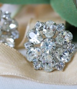 Clear Stone Earring