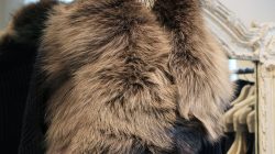 Fur Shawl